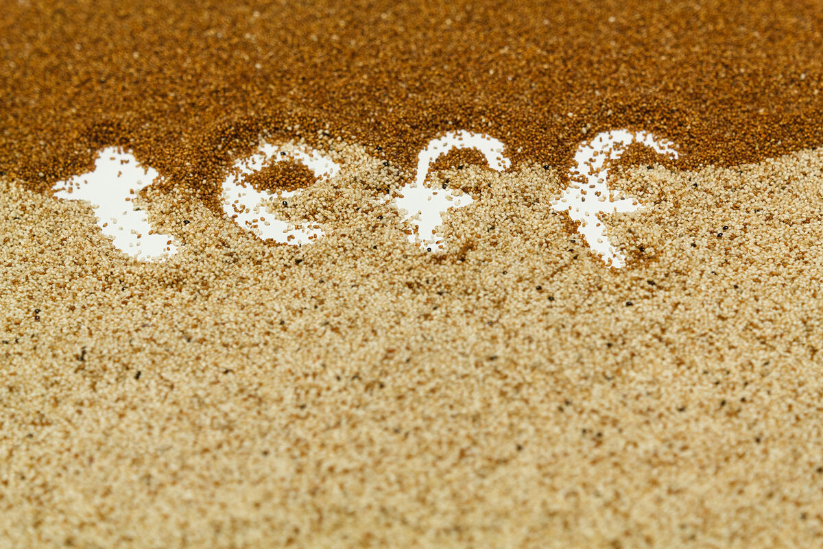 You Can Make Gluten-Free Breads with Teff Flour