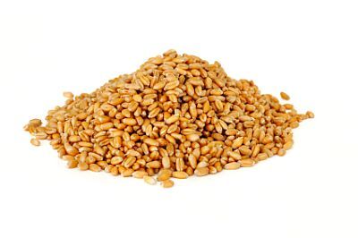Wheat Grains