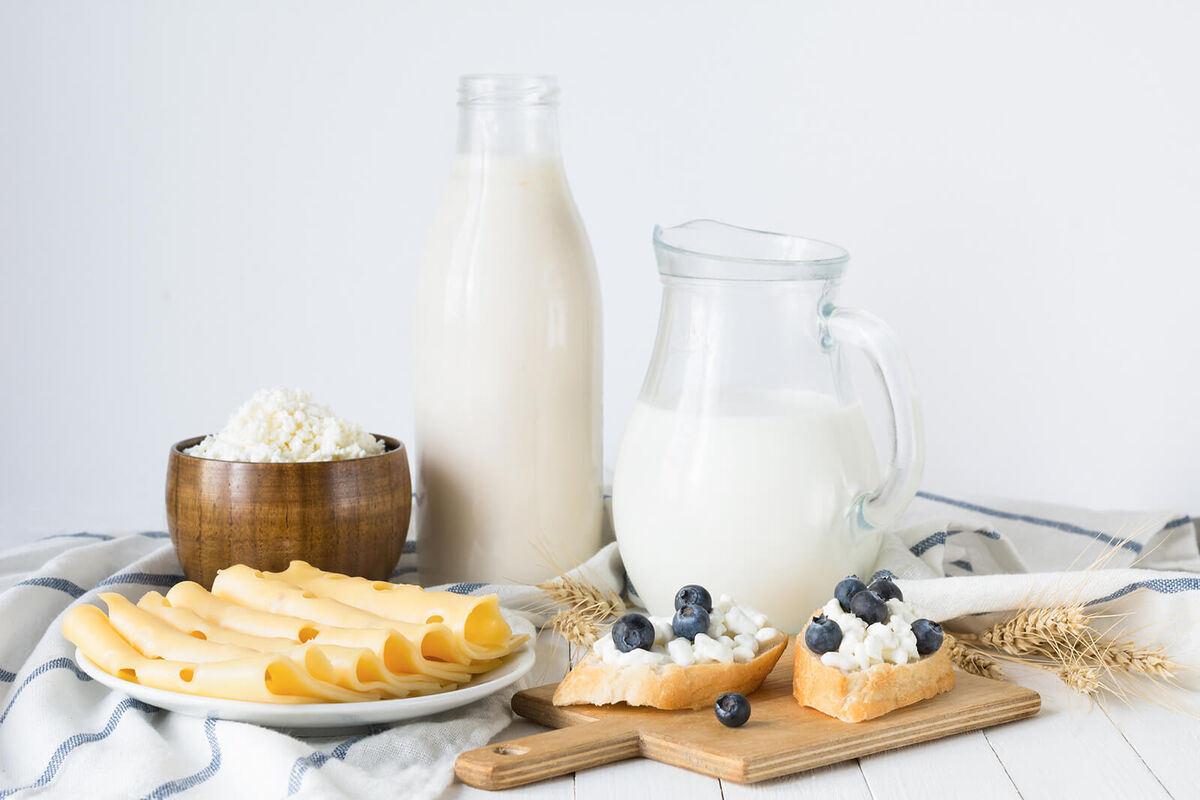 Assorted farmers dairy products on white table