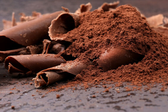 chocolate and cocoa powder