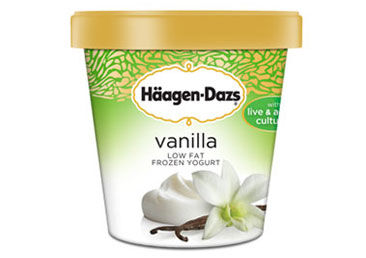 Haagen Dazs Frozen Vanilla Yogurt