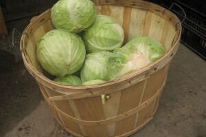 Low Calorie Vegetarian Recipes