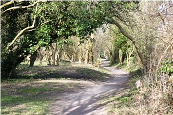 Par course trail