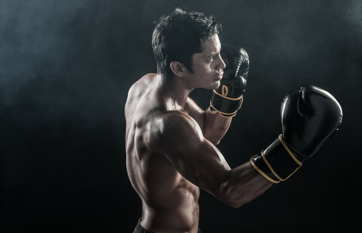 Boxer training