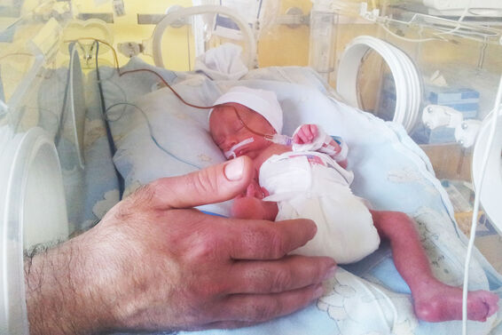 premature baby in incubator