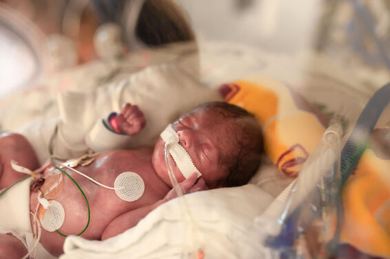 29 Week Premature Baby