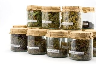 Image of medicinal fertility herbs