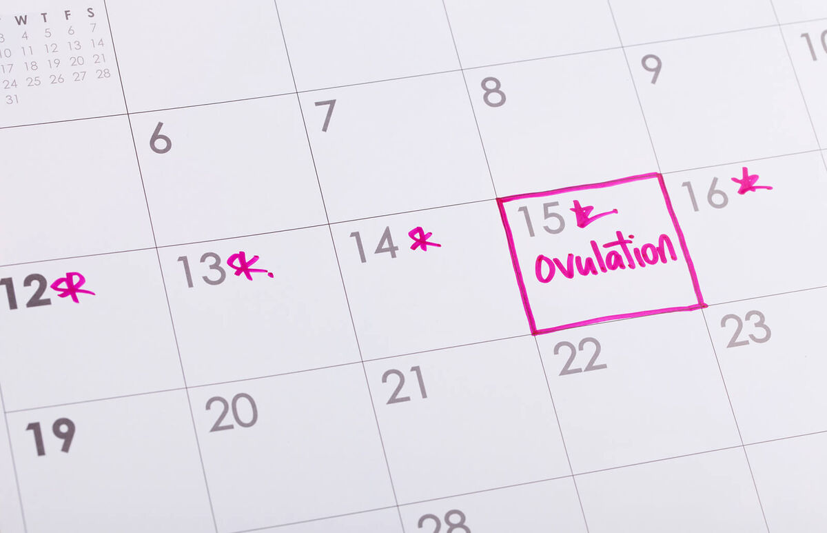 Ovulation Chart