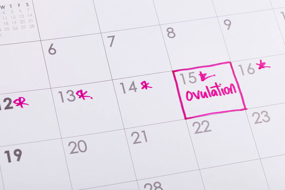Ovulation Chart