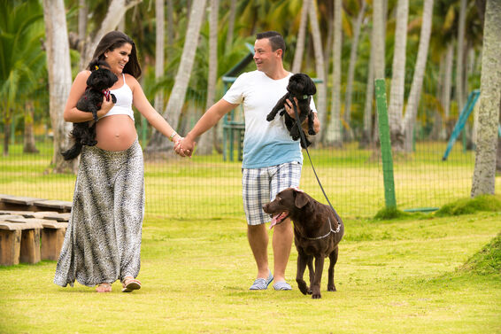 pregnant couple walking with dogs