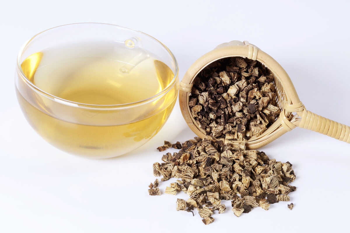 Cup of tea with dried black cohosh root and tea strainer