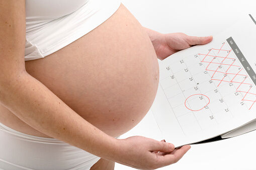 Pregnant woman holding calendar