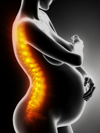 Pregnant woman with visible backbone lateral view