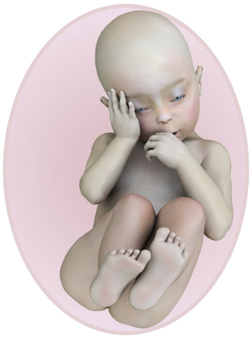 baby at 28 weeks pregnant