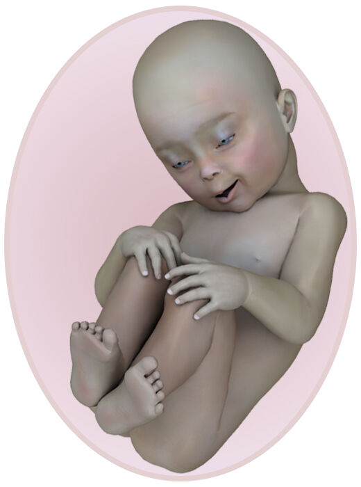 baby at 31 weeks pregnant
