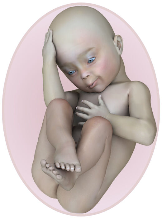 baby at 33 weeks pregnant