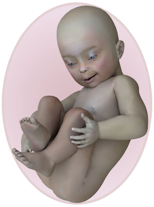 baby at 36 weeks pregnant