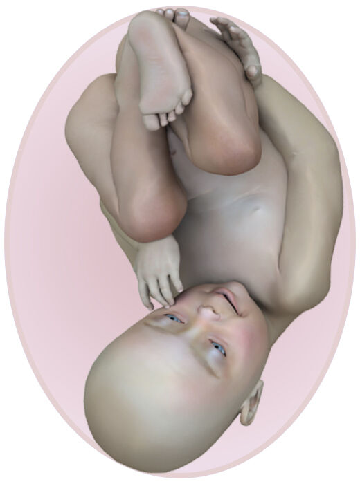 baby at 39 weeks pregnant