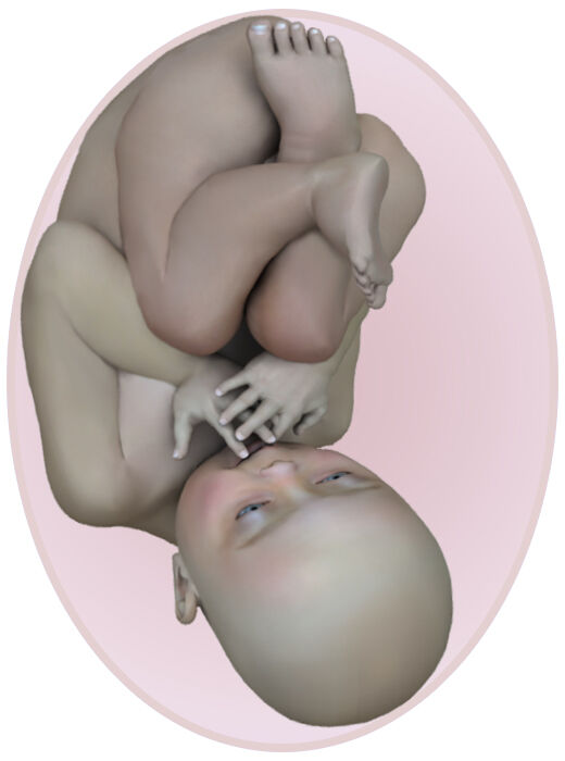 baby at 40 weeks pregnant