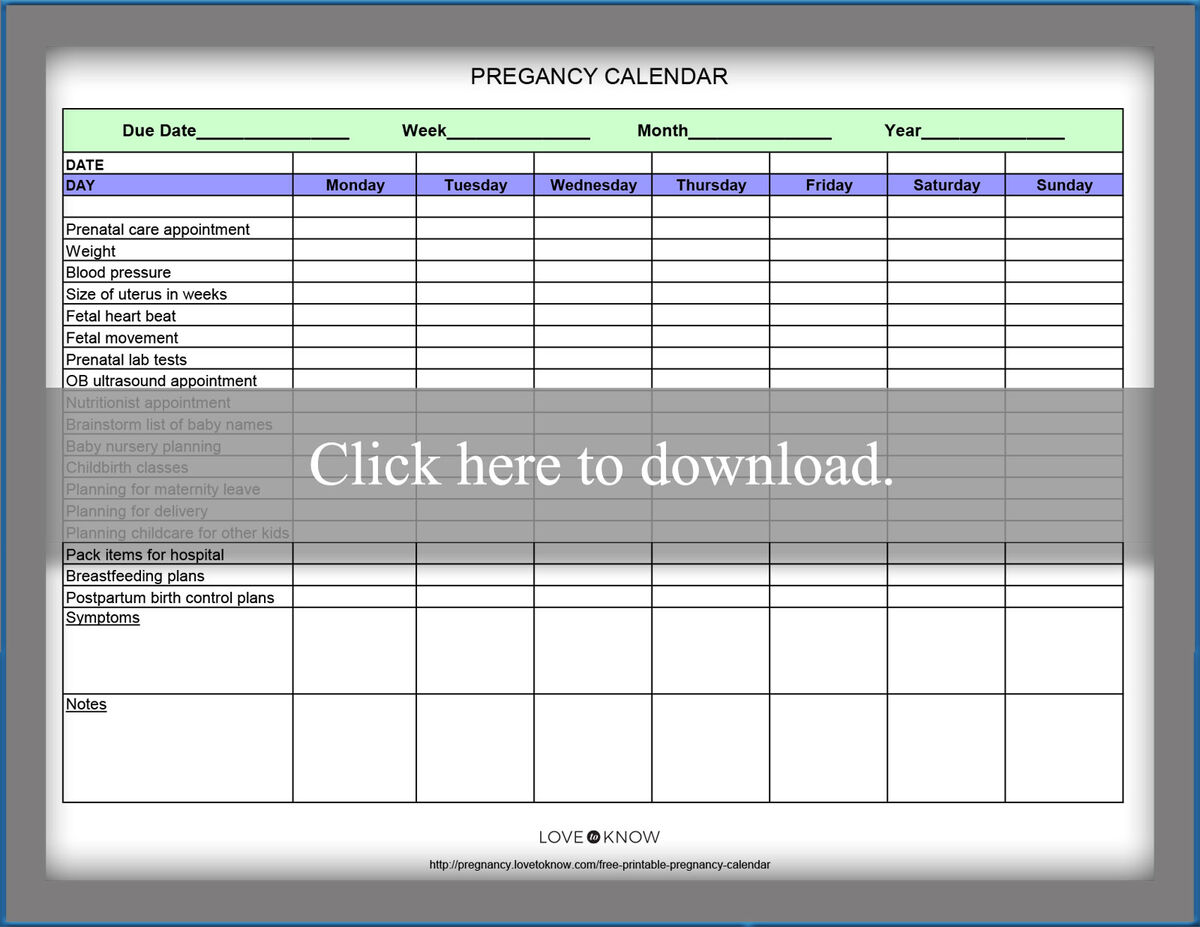 Pregnancy Calendar