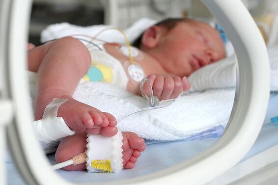 premature baby in incubator