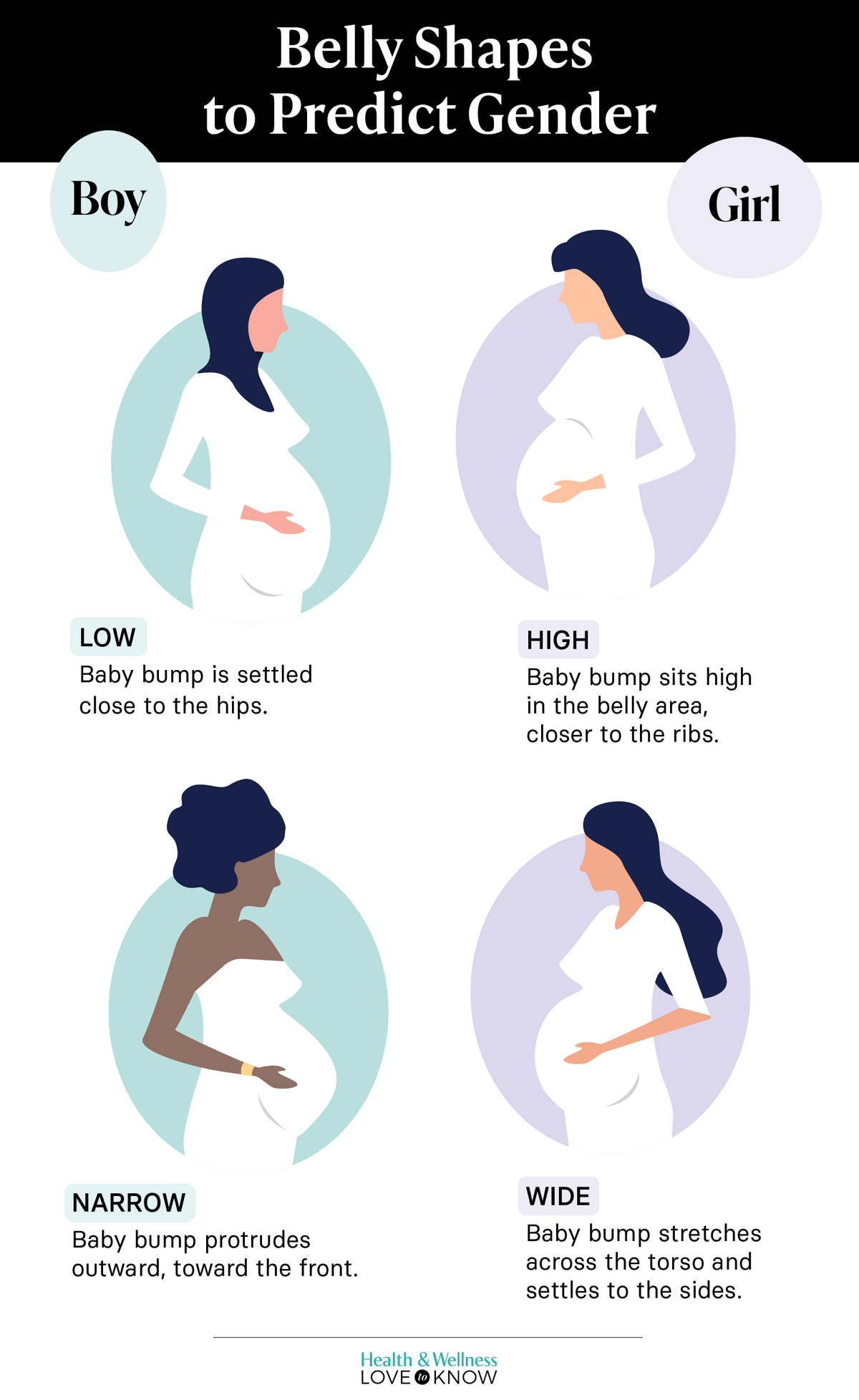 Belly Shapes to Predict Gender Infographic