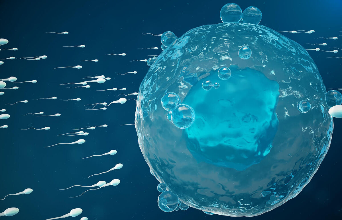 Illustration of sperm rushing toward an egg