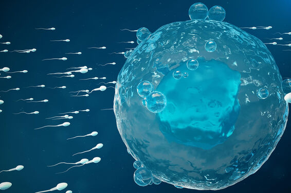 Illustration of sperm rushing toward an egg
