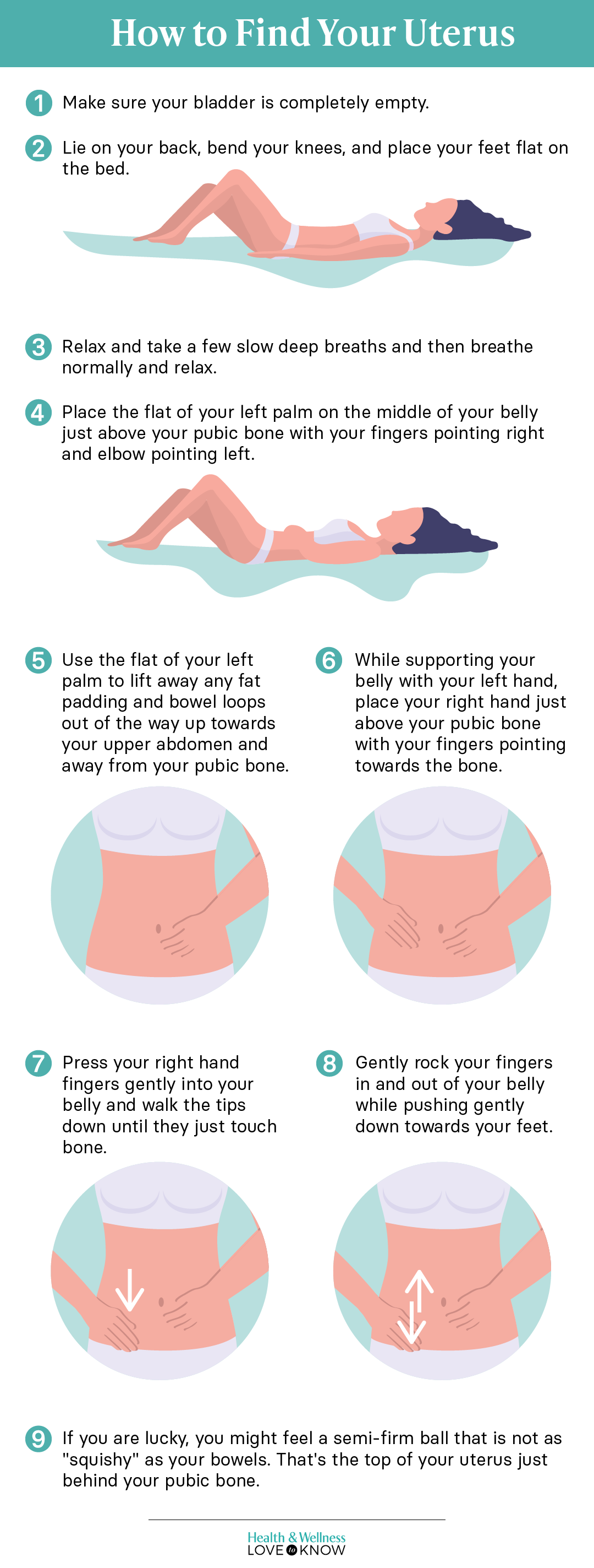 a-step-by-step-guide-to-feel-your-uterus-in-early-pregnancy