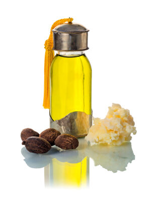 Shea oil, butter and nuts