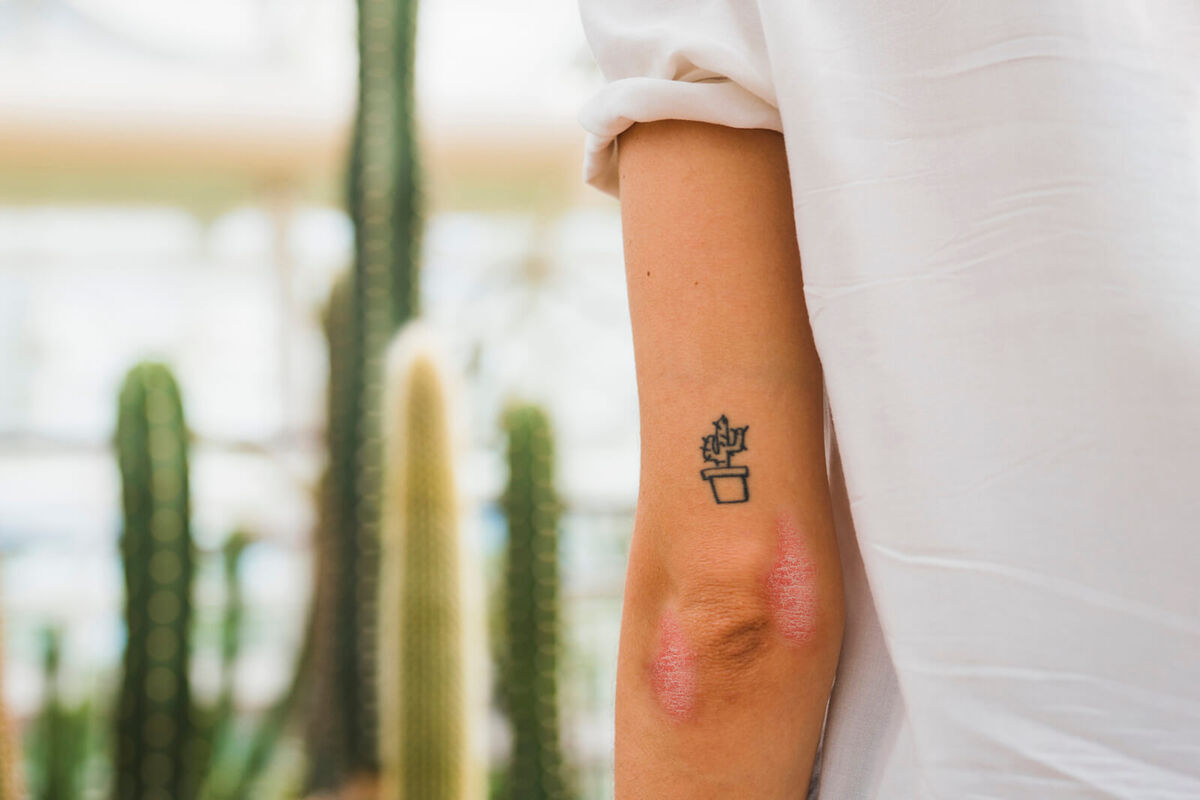 Cactus tattoo on young woman's arm