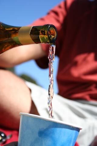 Effects of Alcoholism