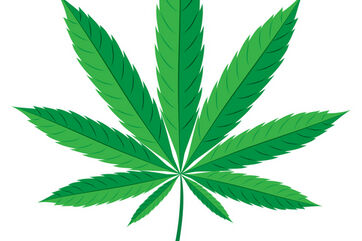 Marijuana Leaf