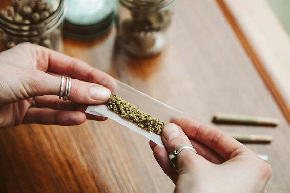 Hands making cannabis joint