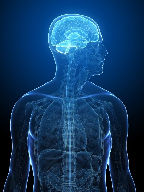 istock photo - licensed