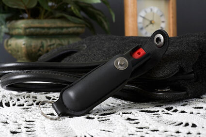 Pepper Spray and Purse